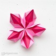 Flowers origami