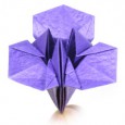 Iris origami