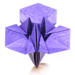 iris origami