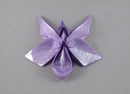 orchid origami