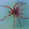 Origami araignée facile
