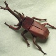 Origami beetle