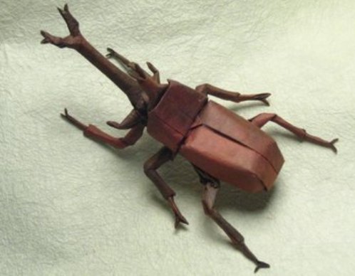 origami beetle