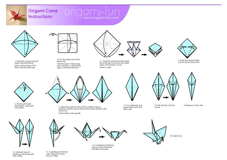 origami beginner