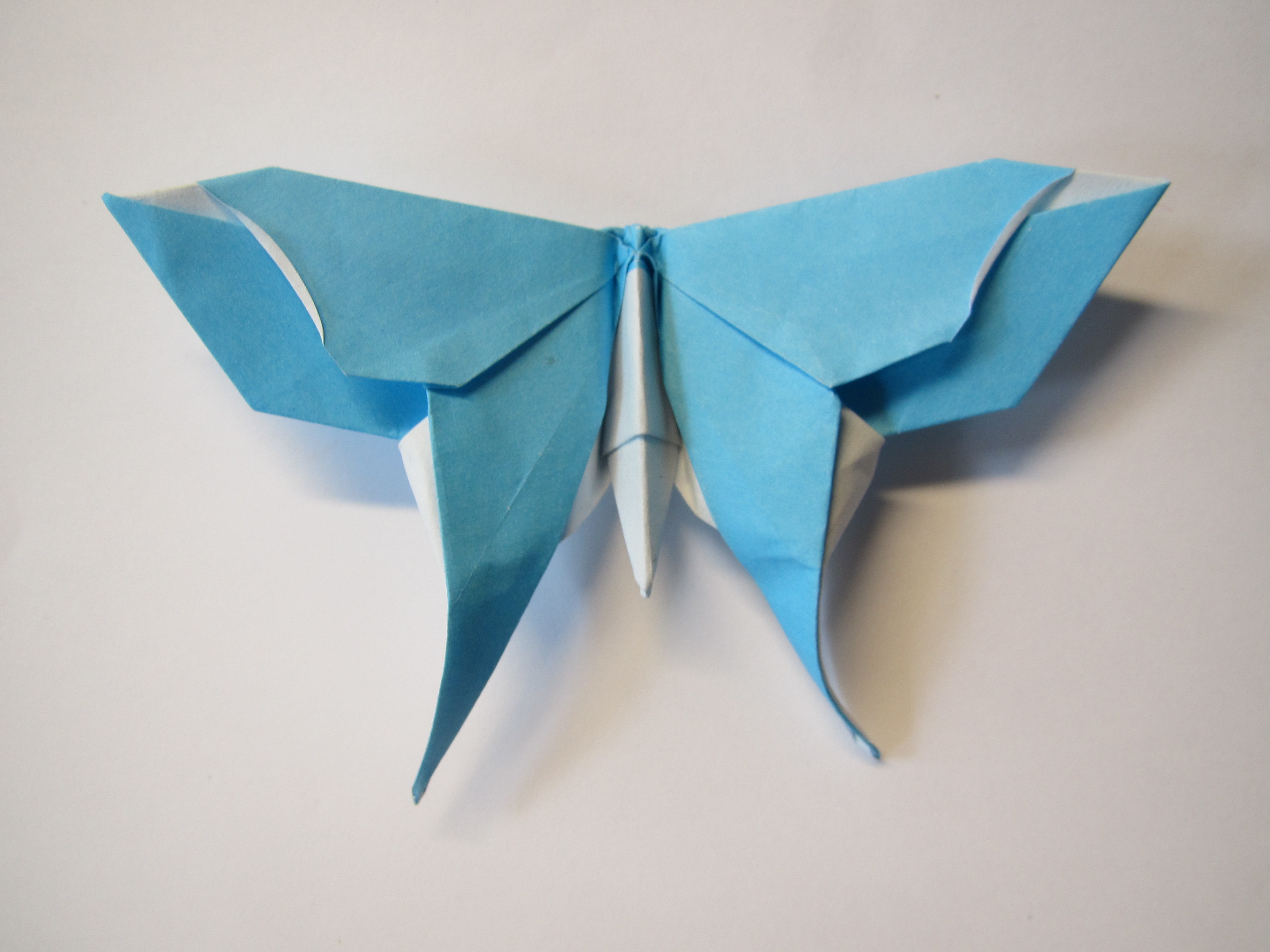 origami butterfly