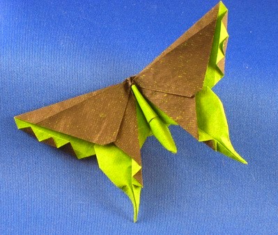 origami com