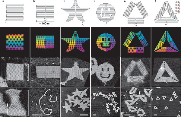 origami dna