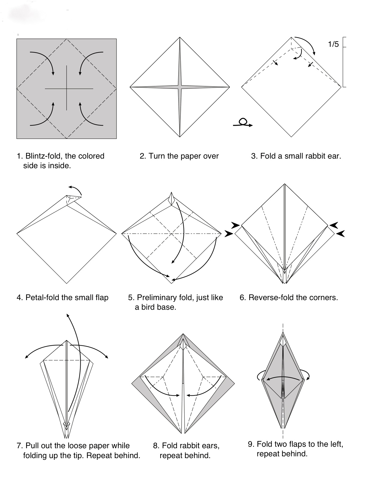 origami dragon facile