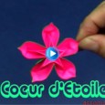 Origami fleur coeur d étoile