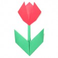 Origami flower tulip