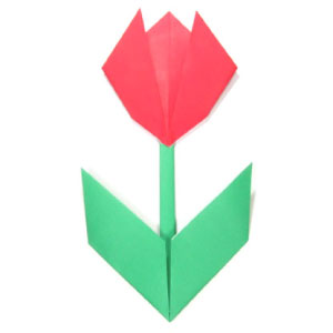 origami flower tulip