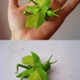 Origami grasshopper