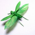 Origami insect