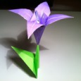 Origami iris