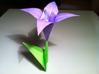 origami iris