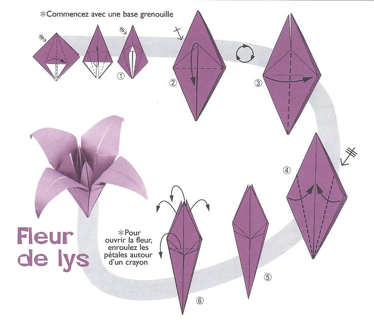 origami lys