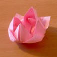 Origami nenuphar