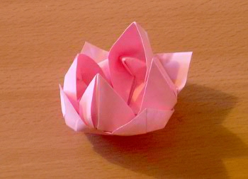 origami nenuphar