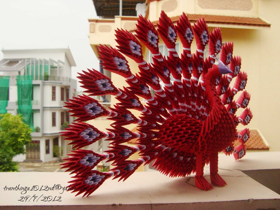 origami peacock 3d