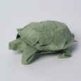 Origami tortoise