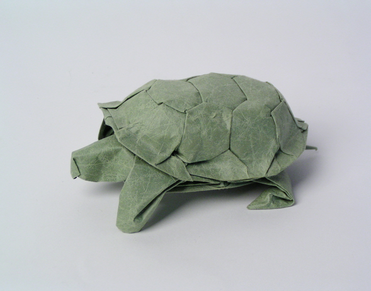 origami tortoise