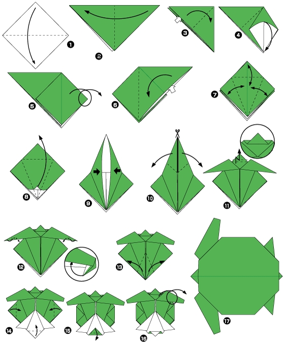 origami tortue facile
