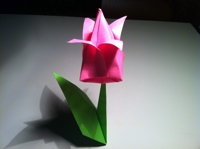 origami tulip instructions