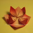 Origami water lily