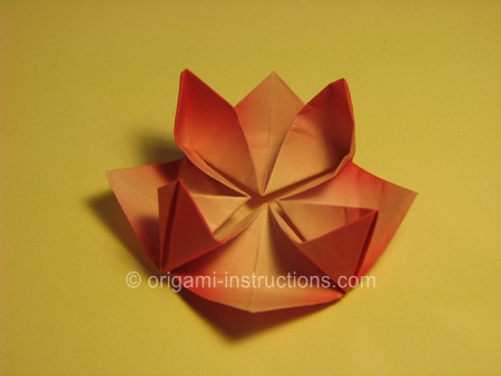 origami water lily