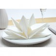 Paper napkin origami