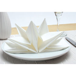 paper napkin origami