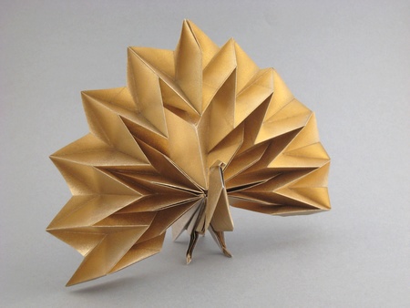 peacock origami