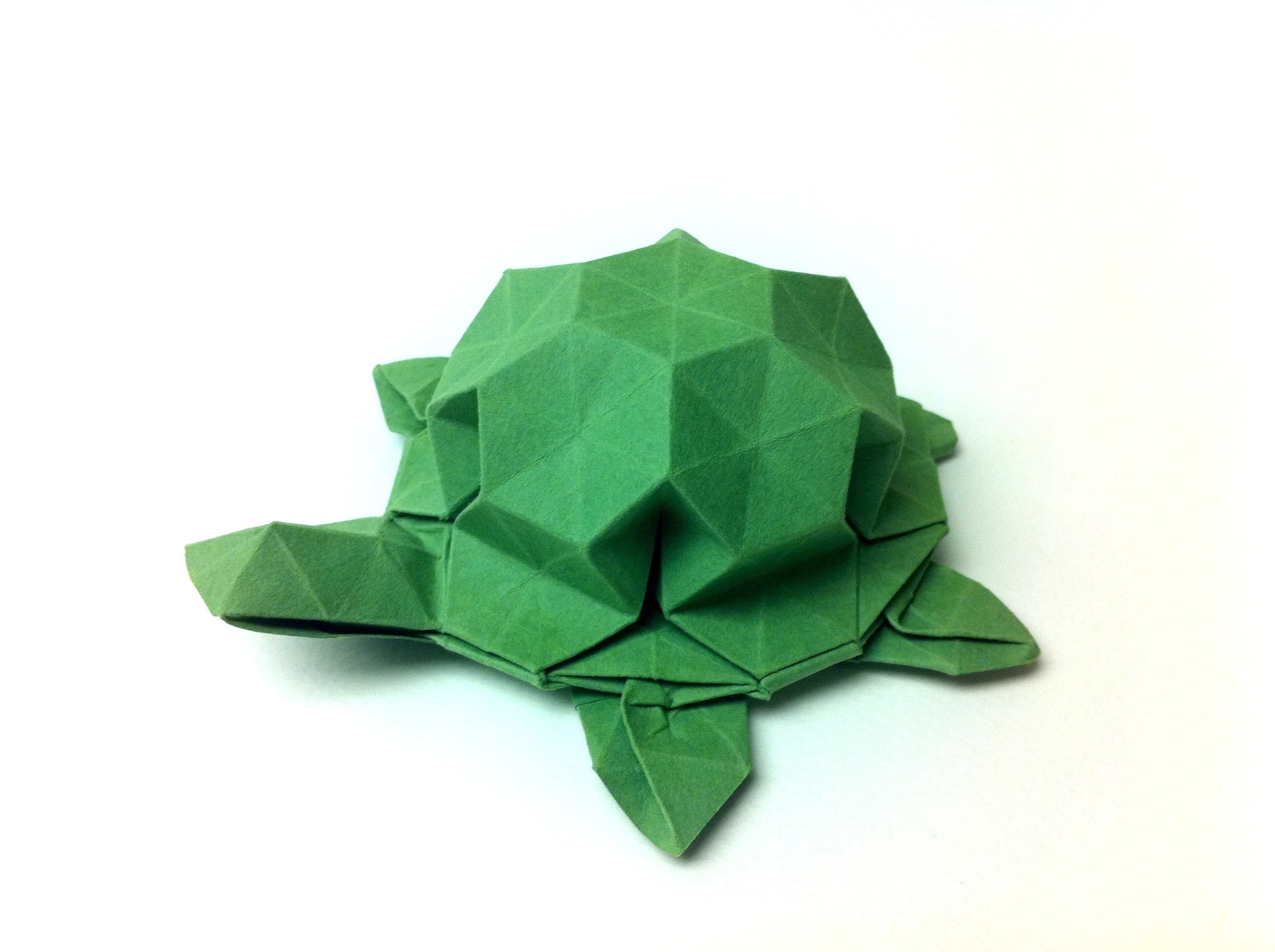 turtle origami