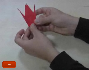 video origami
