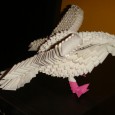 3d origami dove