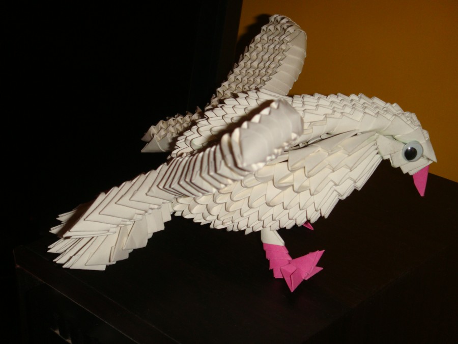 3d origami dove