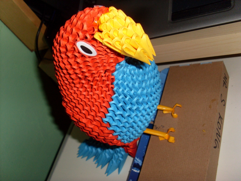 3d origami parrot diagram