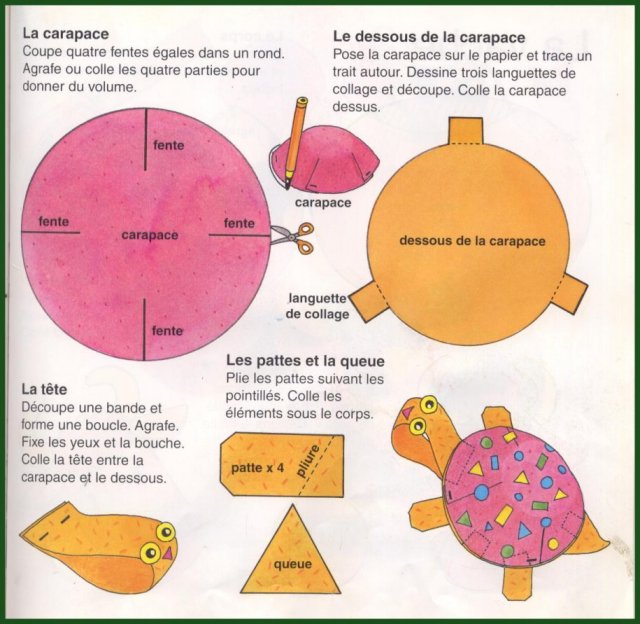 comment faire une tortue en papier