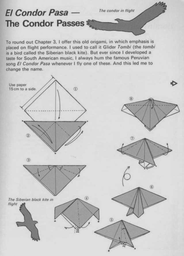 condor origami