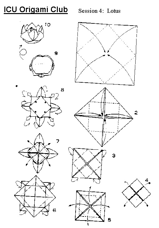 easy lotus origami