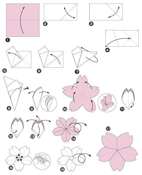 fiori di ciliegio origami