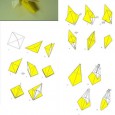 Folding origami paper crafts