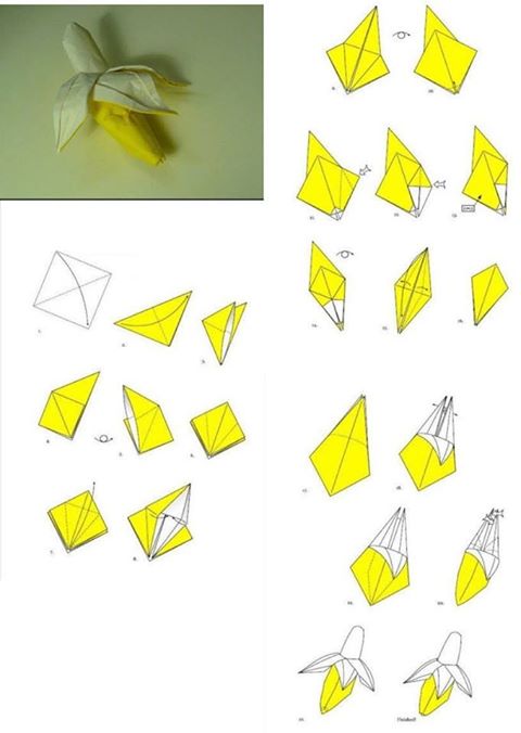 folding origami paper crafts