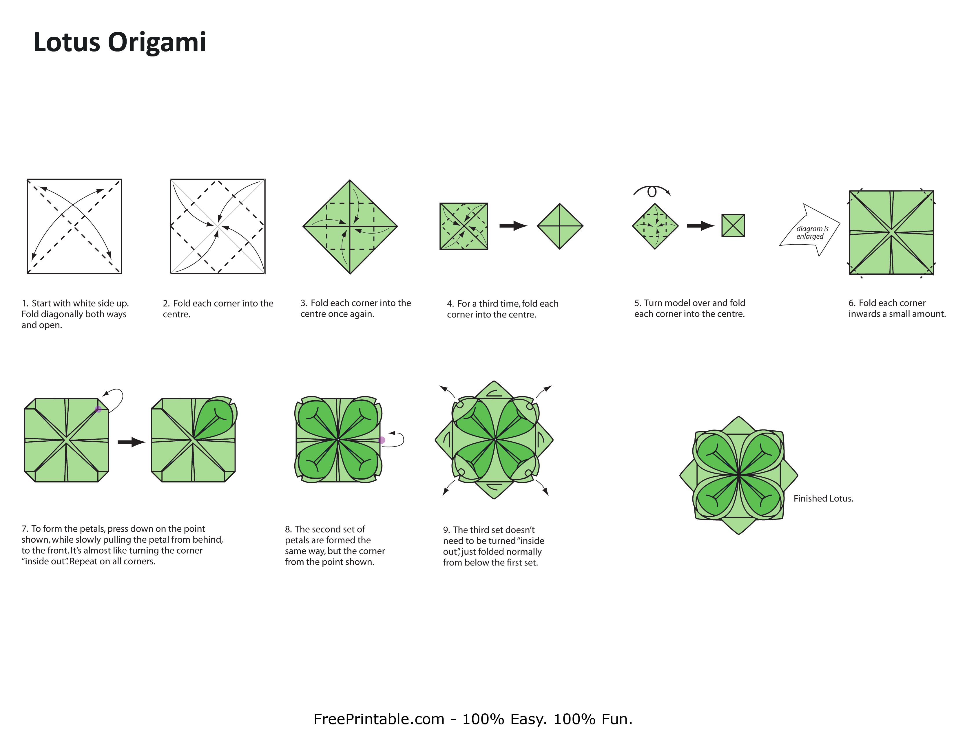 lotus origami step by step