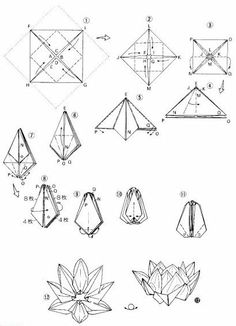 lotus origami tutorial
