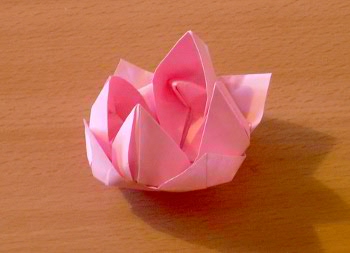 nénuphar en origami