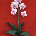 Orchidea origami