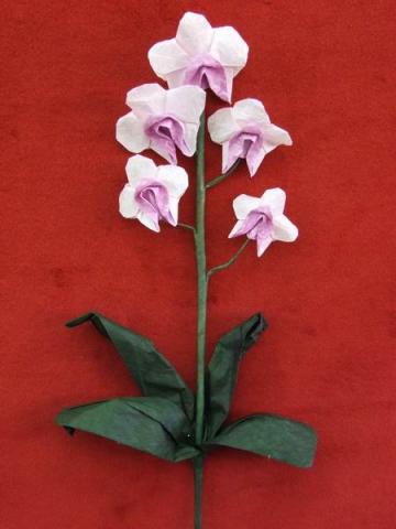 orchidea origami