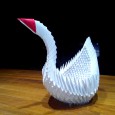 Origami 3d signe