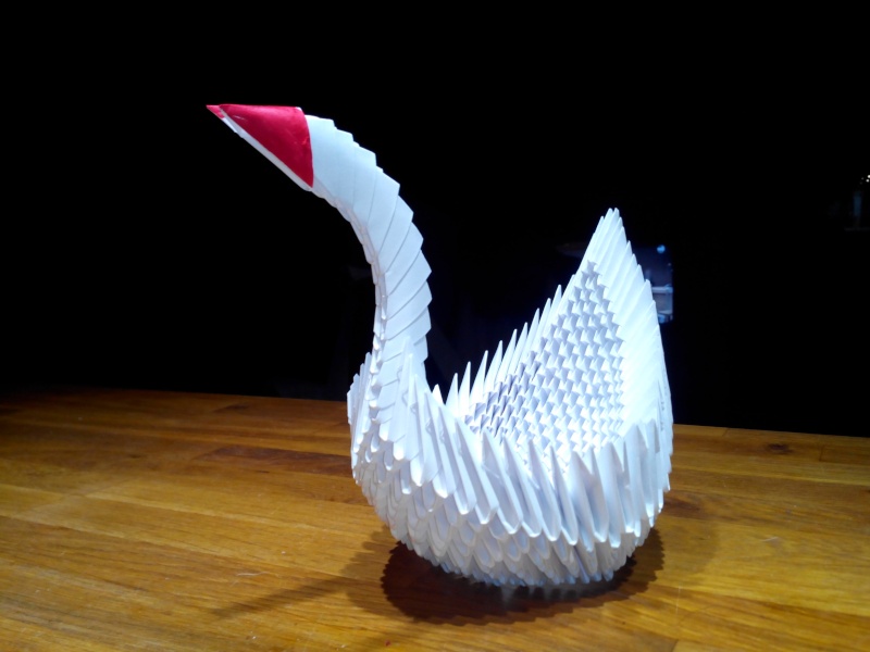 origami 3d signe